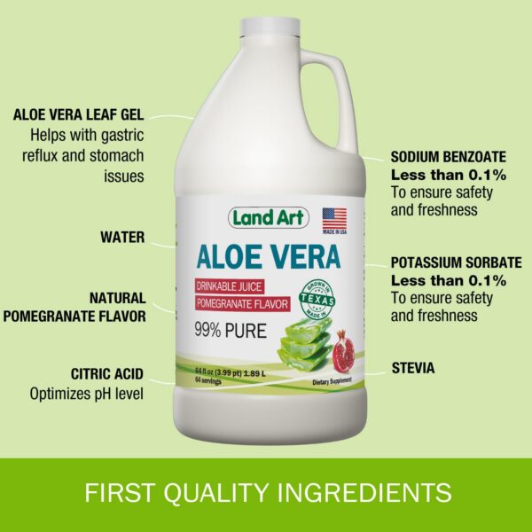 Version 1.0.0 Jugo Aloe Vera Land Art botella vista lateral 64fl