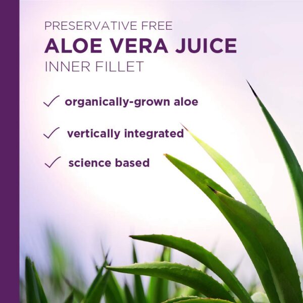 Jugo aloe vera natural Lily Of The Desert presentacion lateral