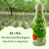 Jugo fresco y puro jugo orgánico aloe vera JUAL