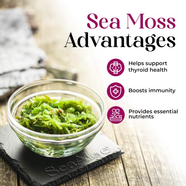 Version 1.0.0 Multivitaminico SeaAloe con Pau D'Arco para apoyo sistema inmune