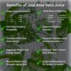 Jugo vegano de aloe vera JUAL sin azúcar ni aloína