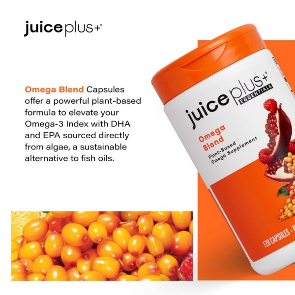 Version 1.0.0 Mezcla de omega 3 5 6 7 9 de algas y semillas