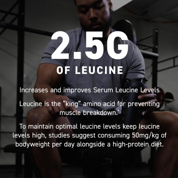 Kaged BCAAs ingredientes