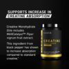 Mide porciones de Creatine Elite
