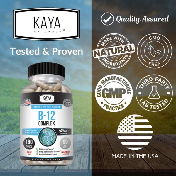 Envase Kaya Naturals B-12 Complex