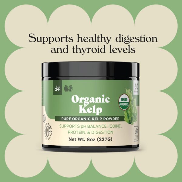 Kelp orgánico en polvo seco