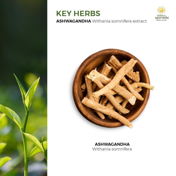 Version 1.0.0 Frasco con etiqueta Kerala Ayurveda Ashwagandha