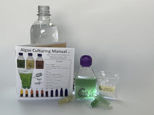 Kit de cultivo de algas Spirulina para proyectos escolares