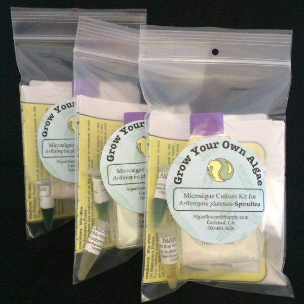 Kit cultivo algas Spirulina fácil de usar