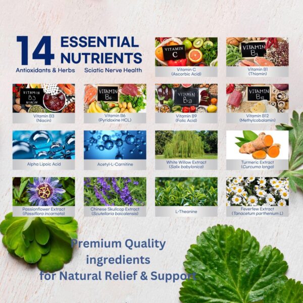 Version 1.0.0 Etiqueta de producto KITIVE Sciatic Nerve Relief