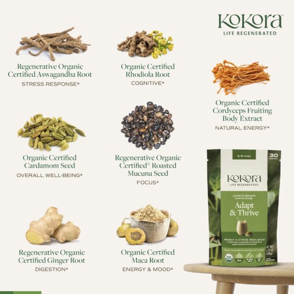 Version 1.0.0 kokora adapt thrive polvo raiz de ashwagandha