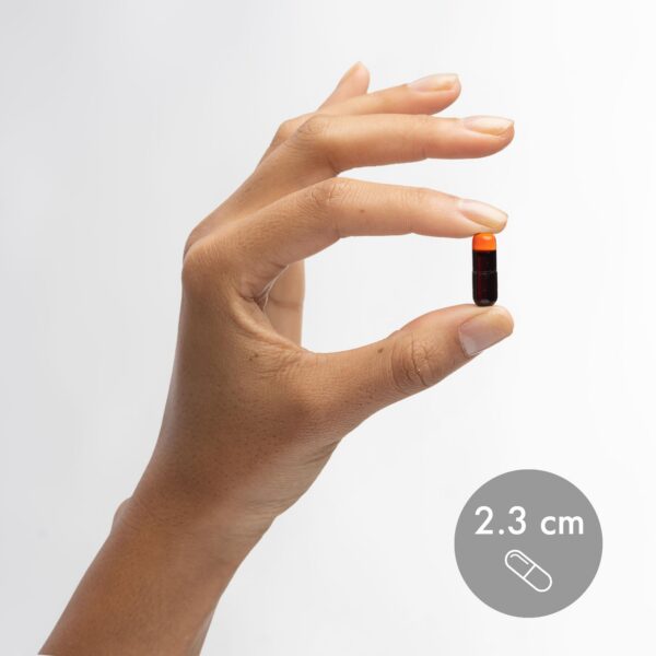 Version 1.0.0 Cápsulas de aceite de krill en blister