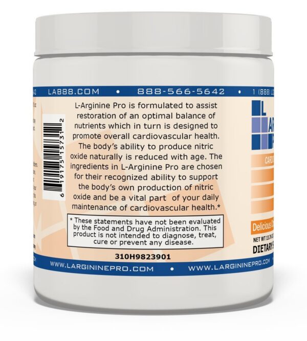 Version 1.0.0 Sobres de porción individual L-ARGININE PRO