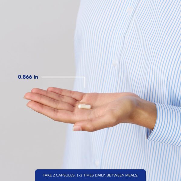 Version 1.0.0 Frasco de cápsulas L-Carnitine