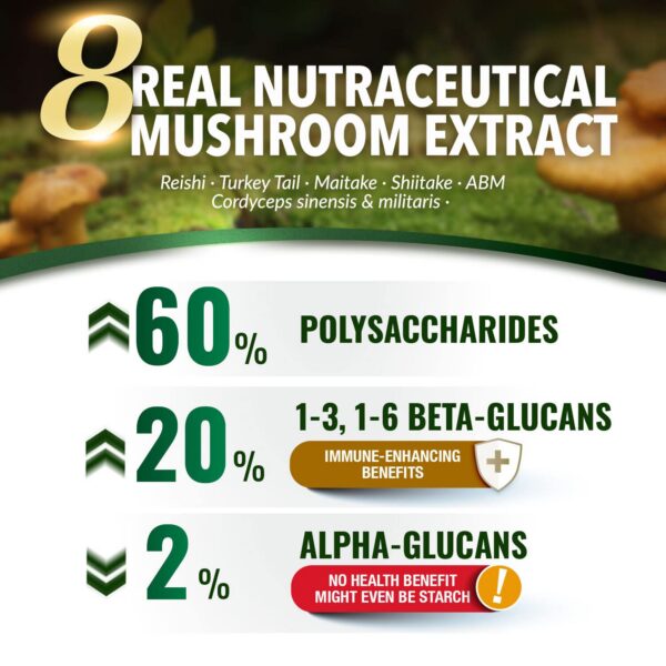 Vista lateral del suplemento Cordyceps Ultra de LABO Nutrition