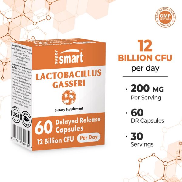 Lactobacillus Gasseri cápsulas probióticas Supersmart no GMO sin gluten