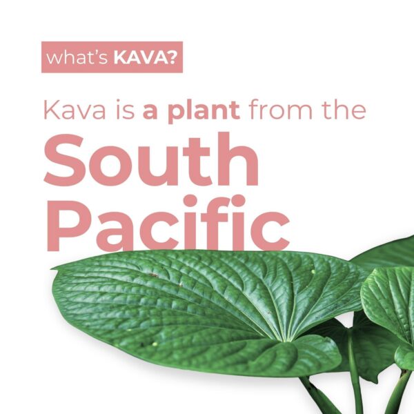 Lata bebida calmante Leilo con sabor frambuesa hibisco