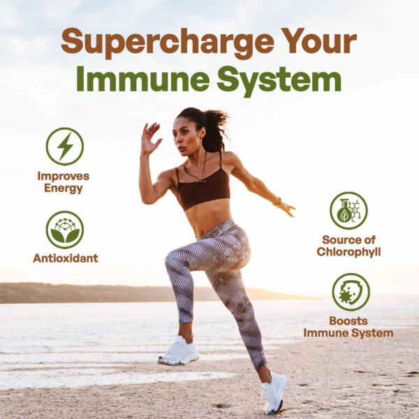 Vista lateral del frasco polvo natural verde Go Nutra