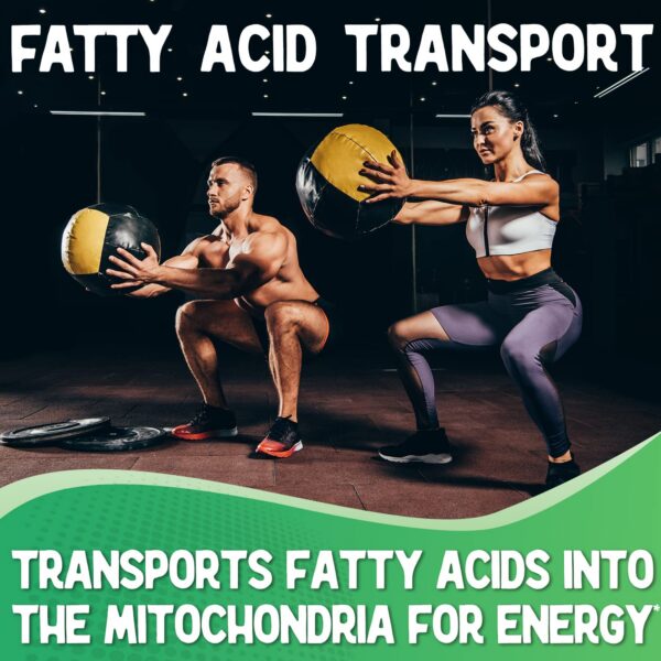 Polvo de L-Carnitina Tartrato seco