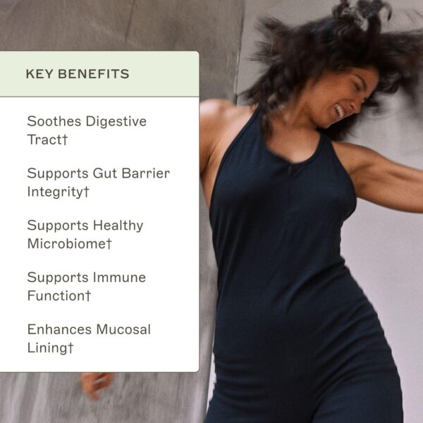 Corteza de olmo resbaladizo