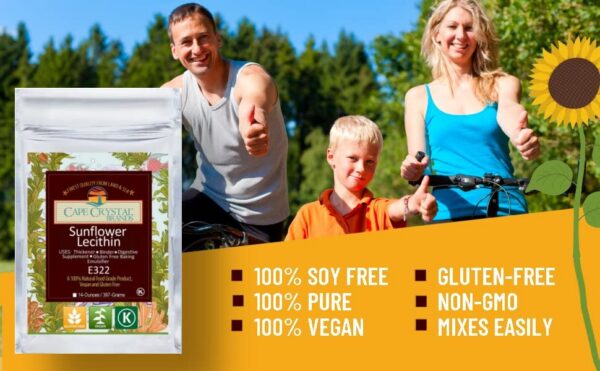 Polvo de lecitina de girasol