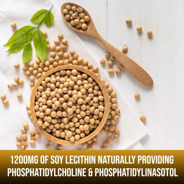 Detalle de cápsula Lecitina de Soja 1200 mg