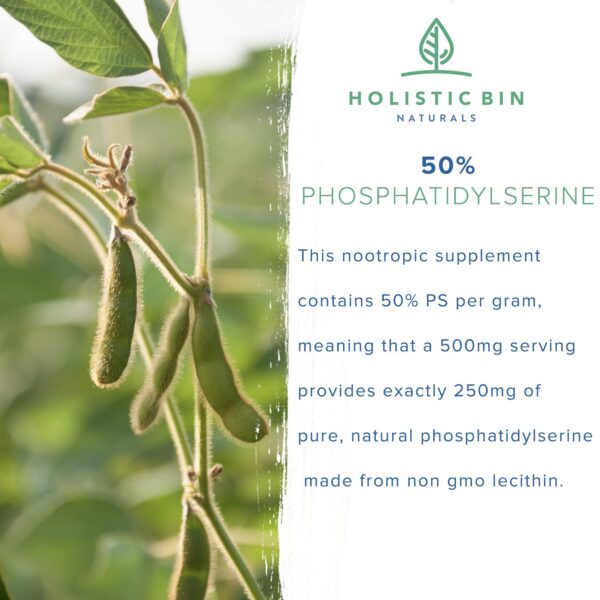 Lecitina de soja no transgénica