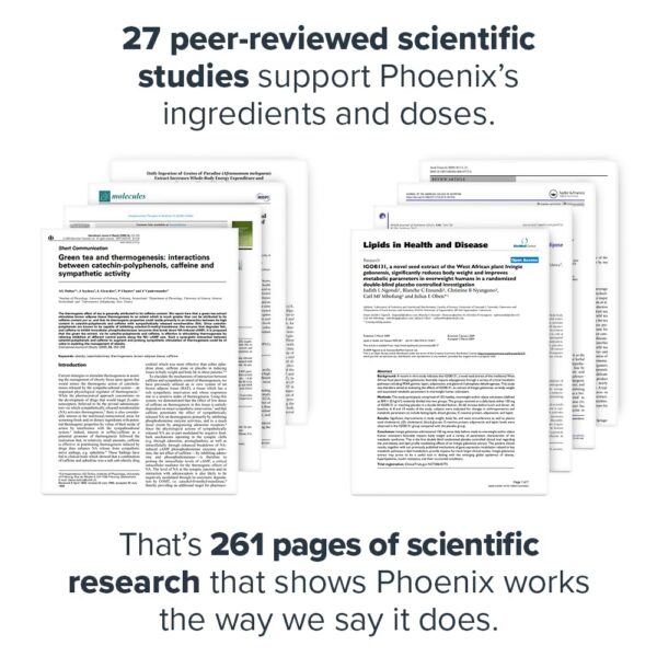 Version 1.0.0 Legion Phoenix Transparent Label View