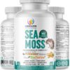 Liberazen Sea Moss irlandés orgánico cápsulas frente al envase