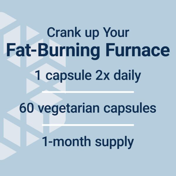 Version 1.0.0 Capsules in bottle - Life Extension 7-Keto DHEA Metabolite