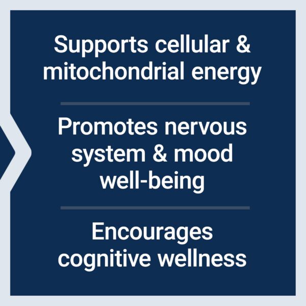 Version 1.0.0 Cajas y etiquetas Life Extension