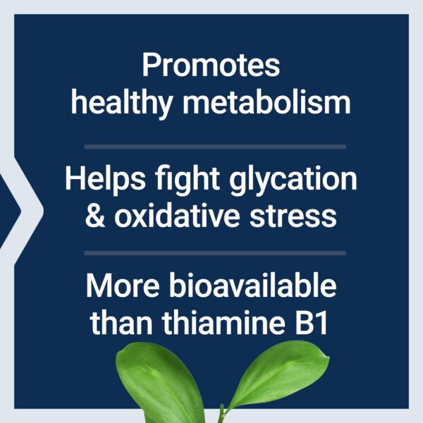 Frente de la caja - vida extension
