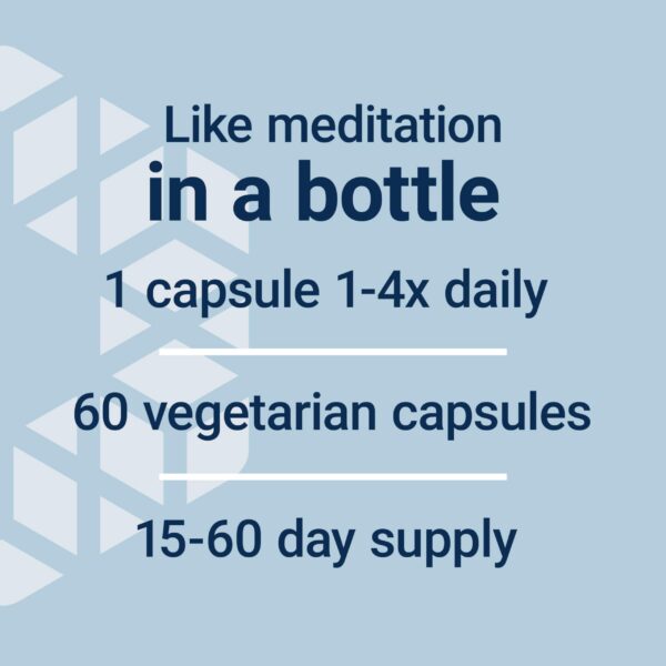 Version 1.0.0 Etiqueta de ingredientes Life Extension L-Theanine