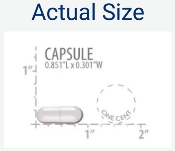 Life Extension NAC envase lateral