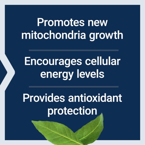 Caja externa Life Extension PQQ 20 mg