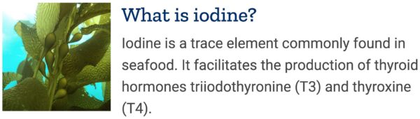 Detalle de algas marinas en Sea-Iodine