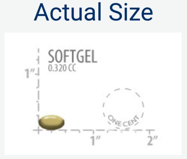 Version 1.0.0 Softgel individual