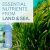 Botella de Body Balance con mezcla de vegetales de mar y tierra para salud