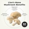 Etiqueta de LifeSeasons Lion's Mane