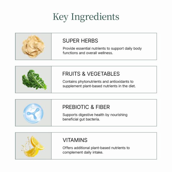 Version 1.0.0 Ingredientes de Lifebooil Mezcla