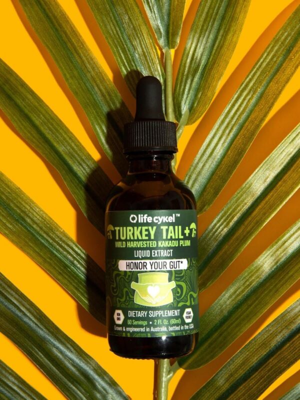 Frasco y caja Lifecykel suplemento hongo Turkey Tail orgánico