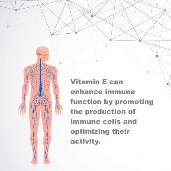 LifeLink Vitamin E Complex especificación 400 UI