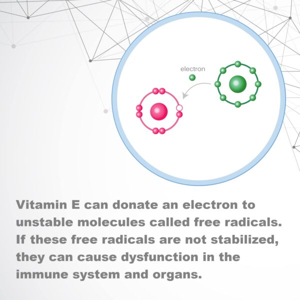 LifeLink Vitamin E Complex etiqueta trasera