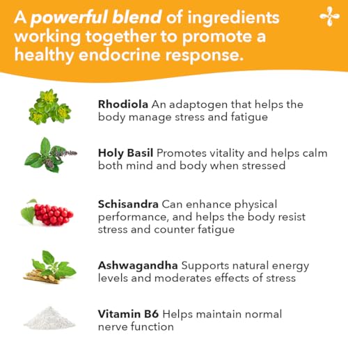 Cápsulas LifeSeasons Adrenal-T