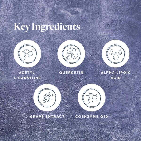 Version 1.0.0 Cápsulas LifeVantage NRF1 Synergizer