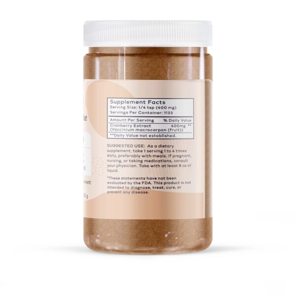 Polvo de extracto de arándano vegano no GMO Like Mine