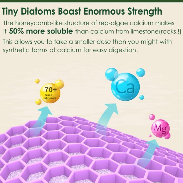 Sello GMP en la instalación