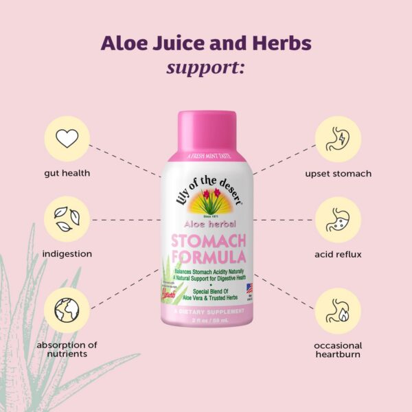 Frasco y etiqueta de Aloe Vera Shot Lily of the Desert