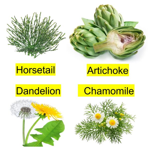 Version 1.0.0 Limpieza hepática gotas concentradas con manzanilla y alcachofa