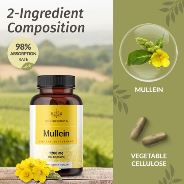 Limpieza natural pulmones con cápsulas extracto hoja de gordolobo